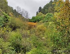 格拉纳达逼平领头羊，表现可圈可点的简单介绍