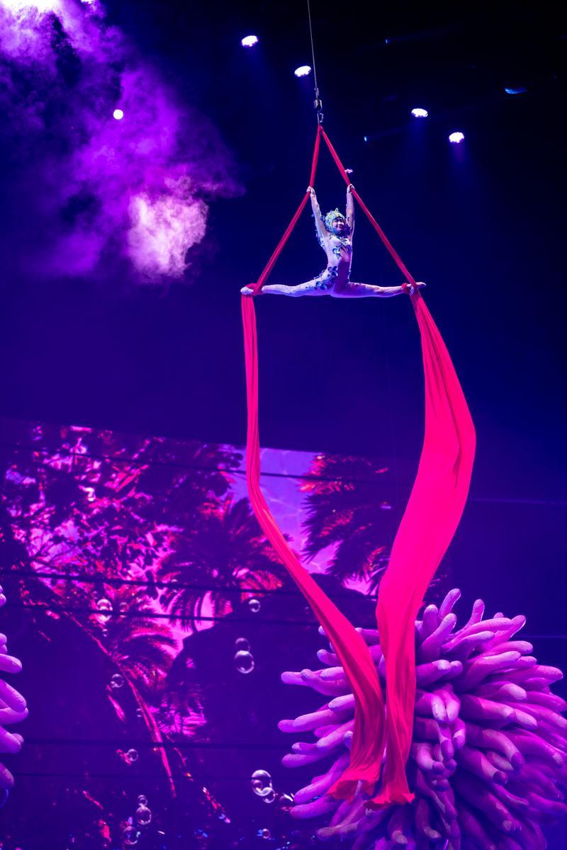 包含神奇一幕！球场上的精彩表演让人目不暇接的词条